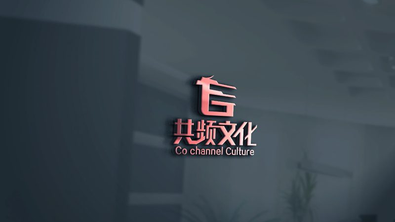 短视频代运营：揭秘高效内容运营之道**